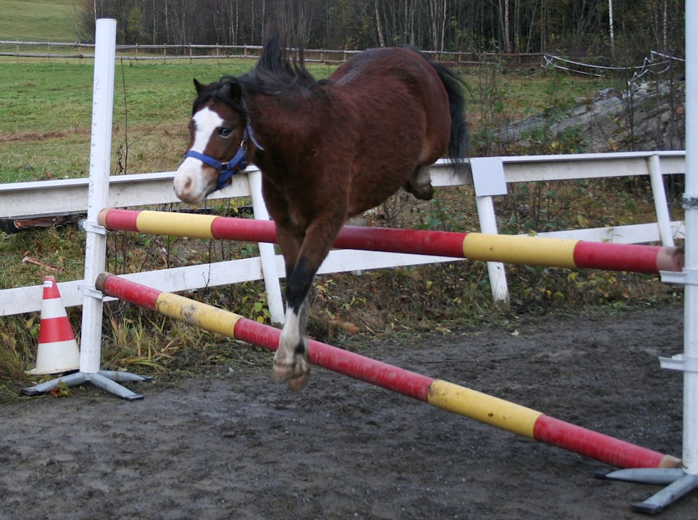 Klubbtrening i sprang